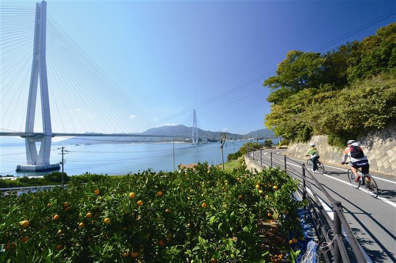 瀬戸内アイランダー2