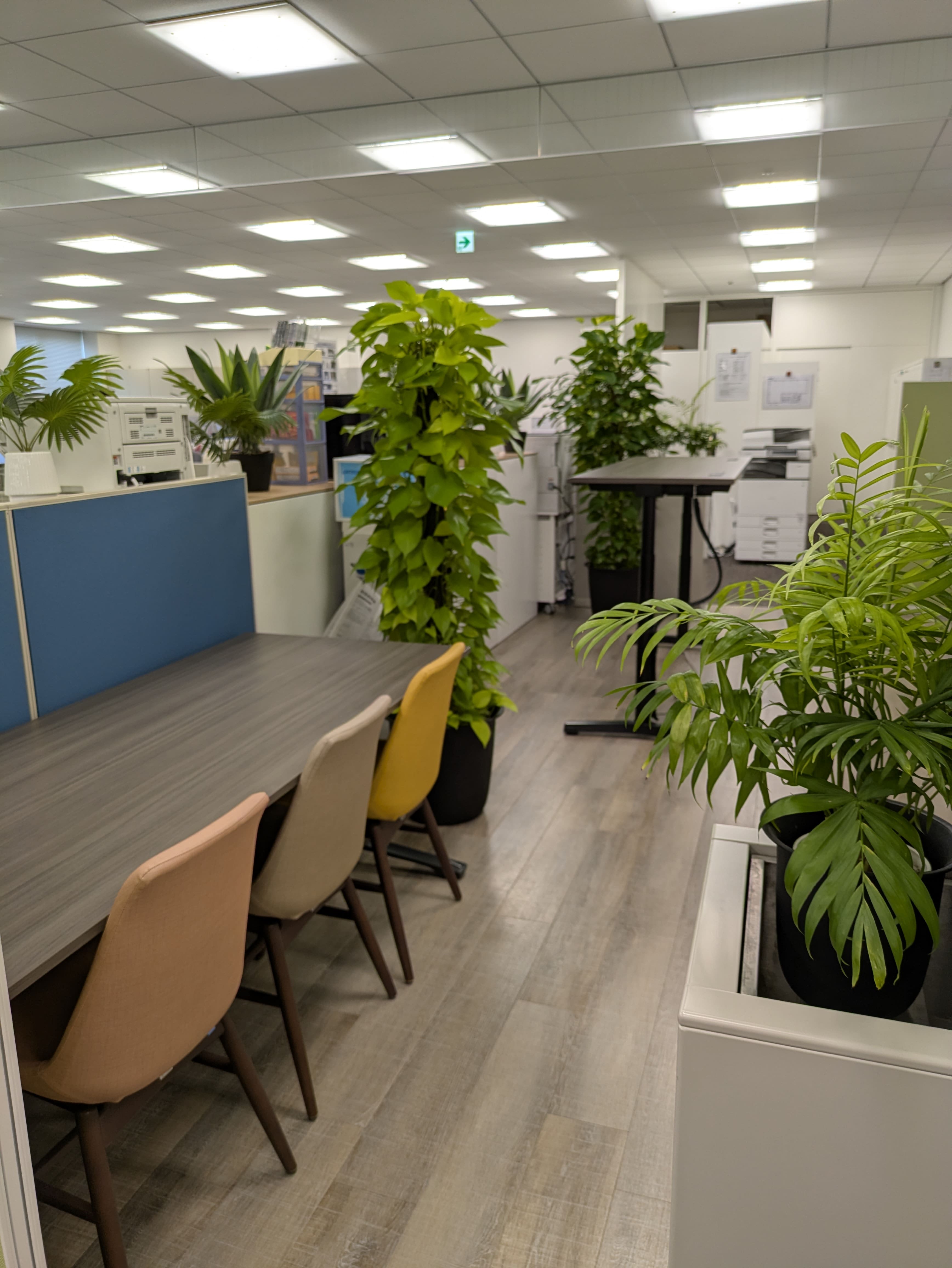 PXL_20260107_043304609