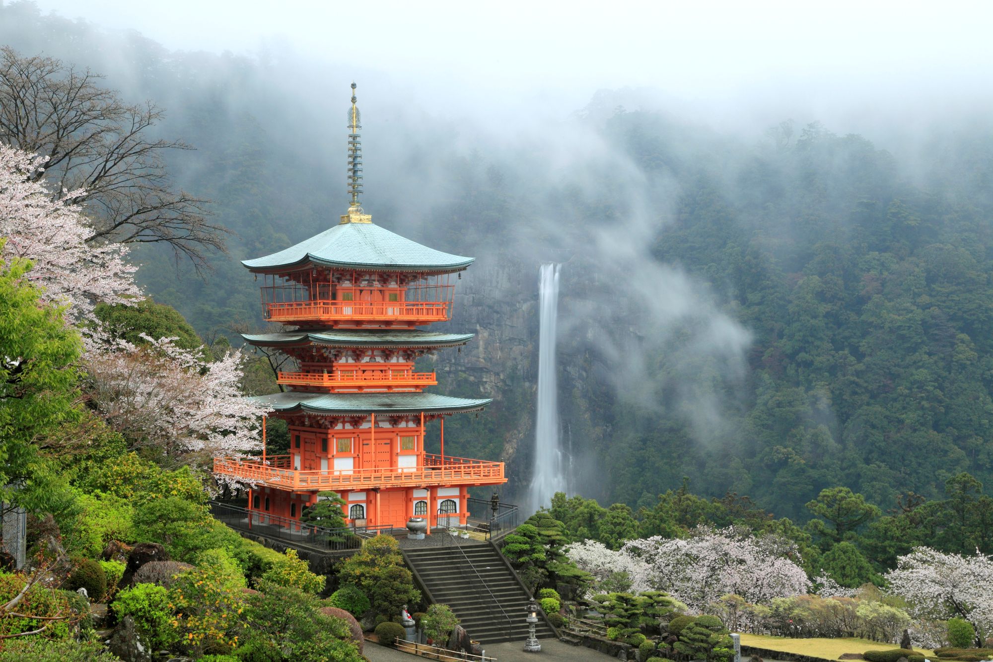 那智山春景_那智勝浦観光機構